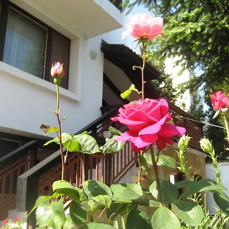 Guest house Yanina